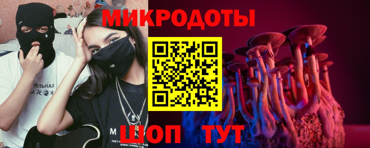 Галлюциногенные грибы Cubensis Ялта
