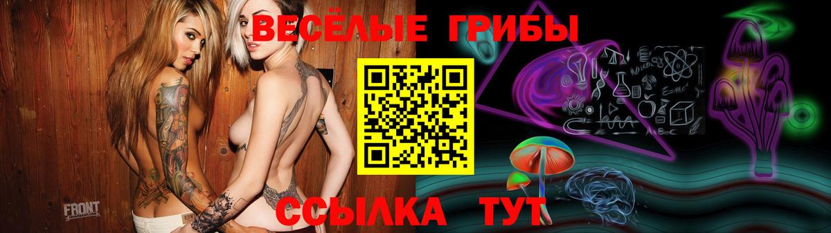 Галлюциногенные грибы Psilocybine cubensis  Вход с VPN  Псилоцибиновые грибы MAGIC MUSHROOMS  Ялта 